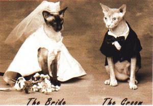 Bride and Groom
