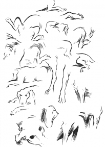 dog_parts_1.png