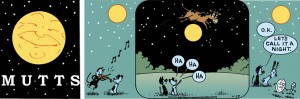 mutts